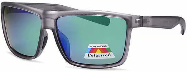 POL3229
