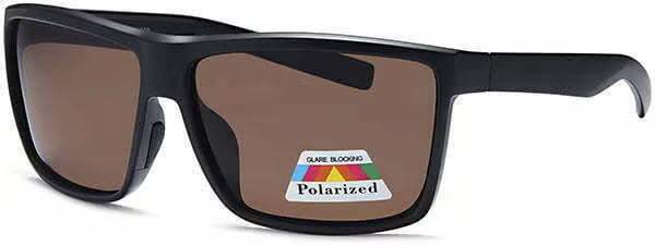 POL3229